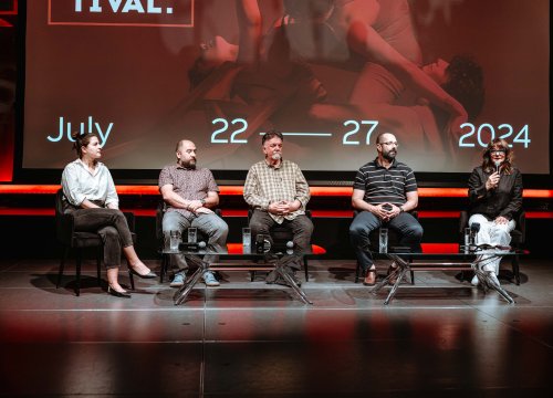 Fotografija 6 - Plesni festival u Šibenik dovodi umjetnike iz cijelog svijeta!