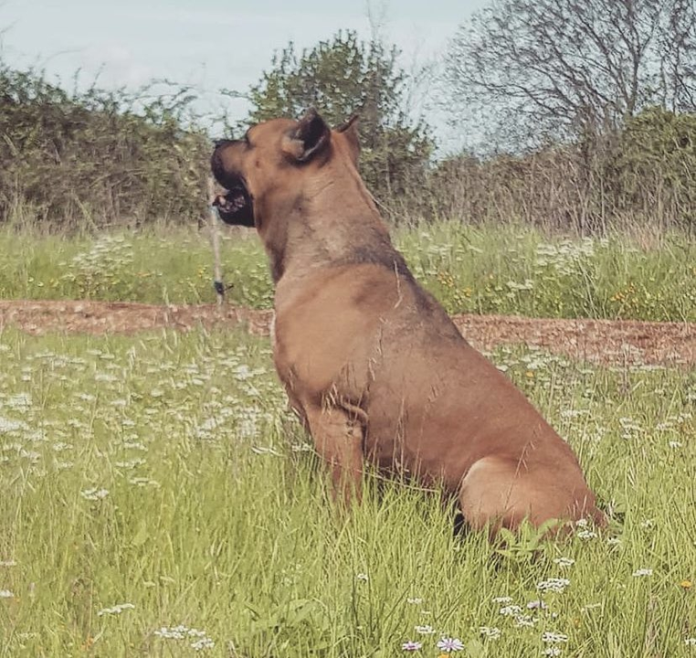 Omiljeni bistro Kod Starog odlično je odredište i u ljetnim danima!