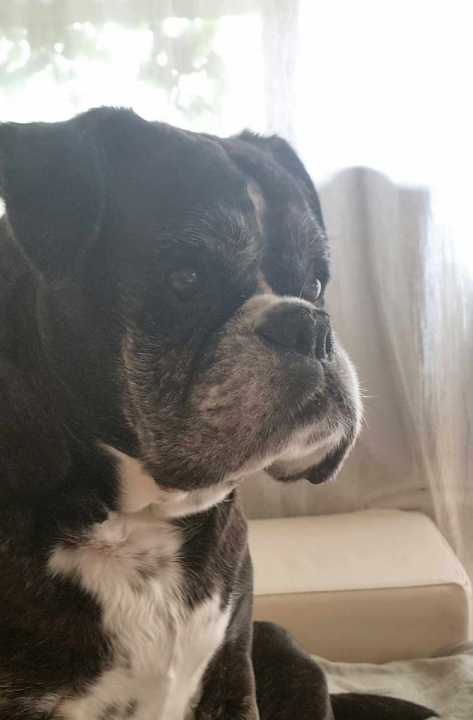 Omiljeni bistro Kod Starog odlično je odredište i u ljetnim danima!