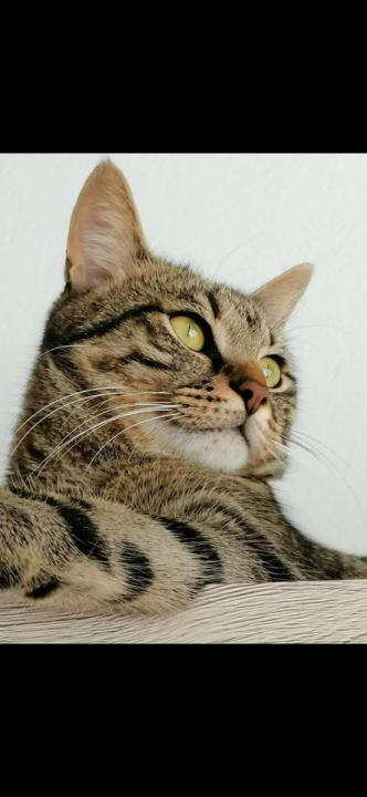 Omiljeni bistro Kod Starog odlično je odredište i u ljetnim danima!