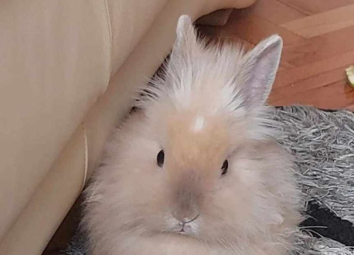 Fotografija 17 - Omiljeni bistro Kod Starog odlično je odredište i u ljetnim danima!