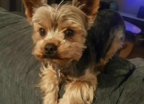 Fotografija 27 - Omiljeni bistro Kod Starog odlično je odredište i u ljetnim danima!