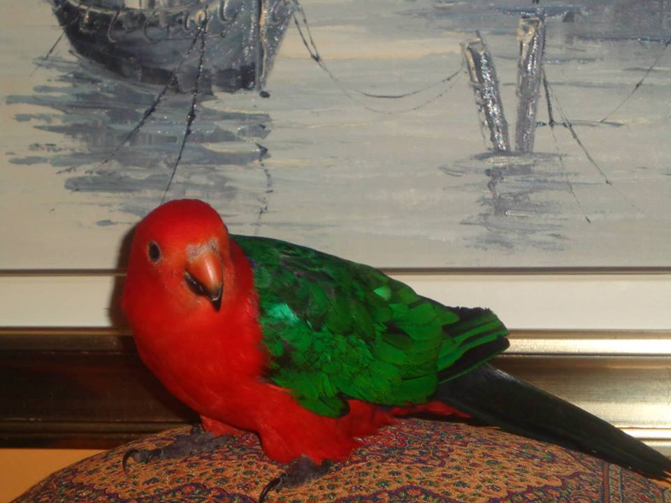 Omiljeni bistro Kod Starog odlično je odredište i u ljetnim danima!