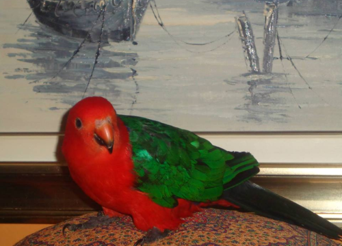 Fotografija 32 - Omiljeni bistro Kod Starog odlično je odredište i u ljetnim danima!