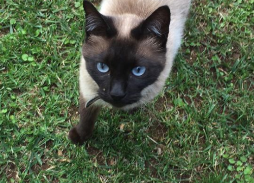 Fotografija 40 - Omiljeni bistro Kod Starog odlično je odredište i u ljetnim danima!