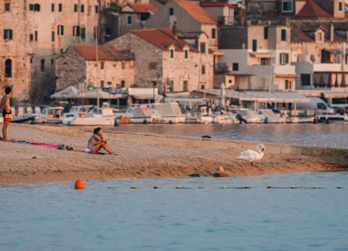 Opasna bakterija širi se europskim morima zbog rasta temperatura