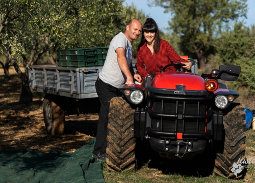 Fotografija 17 - Obitelj Podrug prvo ulje napravila je 1886. godine, a danas osvajaju zlatne medalje od Vodica do New Yorka
