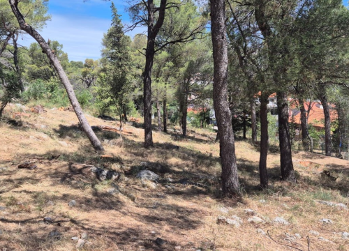 Fotografija 4 - Šibenski vatrogasci očistili prostor oko DV Šibenski tići