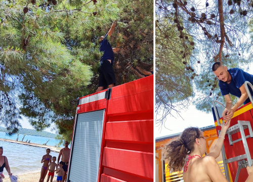 Pirovački vatrogasci spasili ptiće i djeci ostavili poruku...