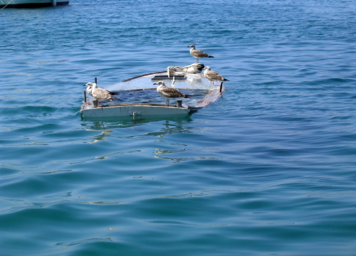 Izdano upozorenje na moguće nevere sjeverno, a onda i bliže šibenskom moru