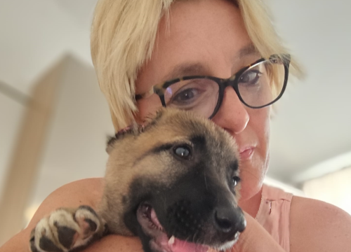 Fotografija 1 - Štene kojem je netko odrezao uši sada živi na ranču kraj Vodica: 'Kod nas je dobila dom i veliku obitelj'