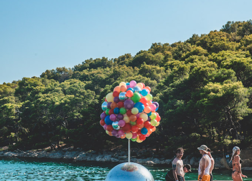 Fotografija 12 - Defected Croatia: Pet tisuća partijanera uživalo u Tisnom