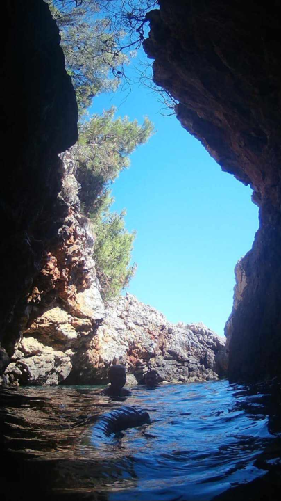 Morska avantura  ŠibenikIN-a: Tjedan dana jedrenja do Dubrovnika, prekrasnih otoka i vala uz nezaboravnu igru dupina