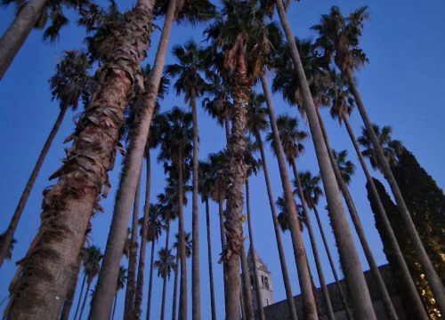 Fotografija 22 - Morska avantura  ŠibenikIN-a: Tjedan dana jedrenja do Dubrovnika, prekrasnih otoka i vala uz nezaboravnu igru dupina