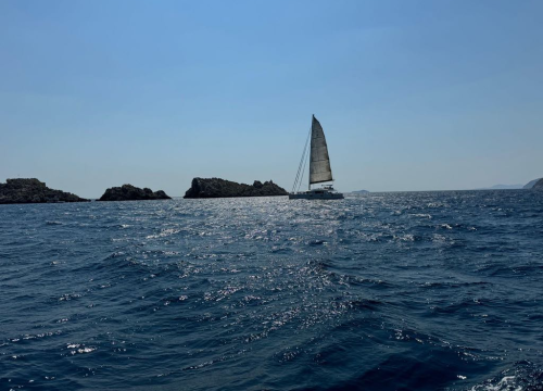 Fotografija 4 - Morska avantura  ŠibenikIN-a: Tjedan dana jedrenja do Dubrovnika, prekrasnih otoka i vala uz nezaboravnu igru dupina