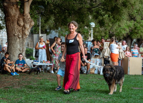 Fotografija 15 - Šibenske šape rođendan proslavile izložbom pasa, tombolom i kvizom