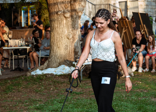 Fotografija 17 - Šibenske šape rođendan proslavile izložbom pasa, tombolom i kvizom