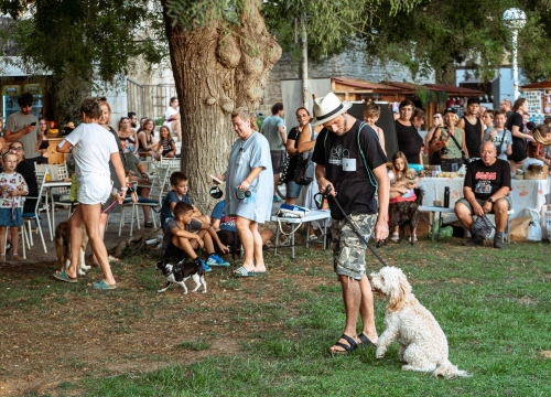 Fotografija 22 - Šibenske šape rođendan proslavile izložbom pasa, tombolom i kvizom