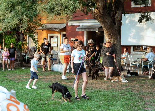 Fotografija 28 - Šibenske šape rođendan proslavile izložbom pasa, tombolom i kvizom