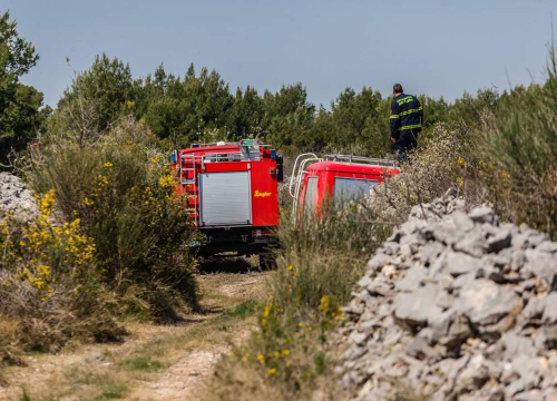 Požar u Dazlini popodne gasilo 17 vatrogasaca