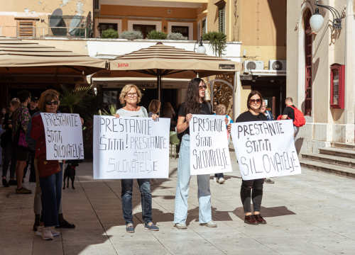 Šibenčanke u prosvjednoj akciji: 'Prestanite štititi silovatelje'