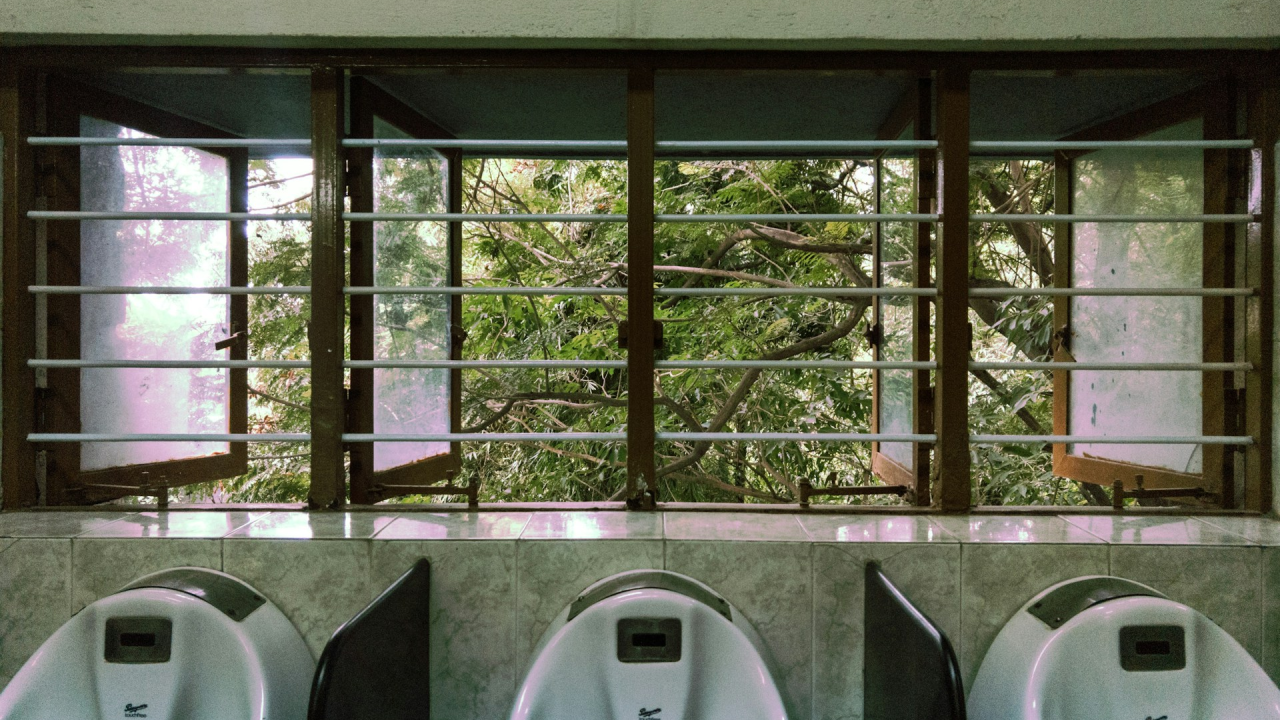 Trebate li koristiti sušilo za ruke ili papirnate ručnike u javnom zahodu? Evo što kažu mikrobiolozi