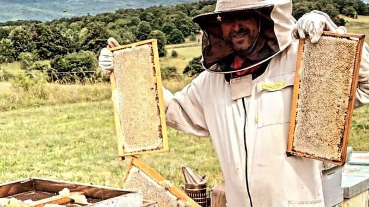 Krešimir je inženjer, ali i pčelar kojemu je hobi postao posao: 'U ovome ne smije biti matematičke računice'