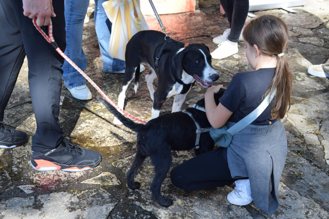 Ispred Azimuta obilježen Svjetski dan životinja