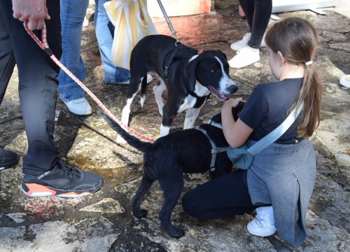 Fotografija 2 - Ispred Azimuta obilježen Svjetski dan životinja