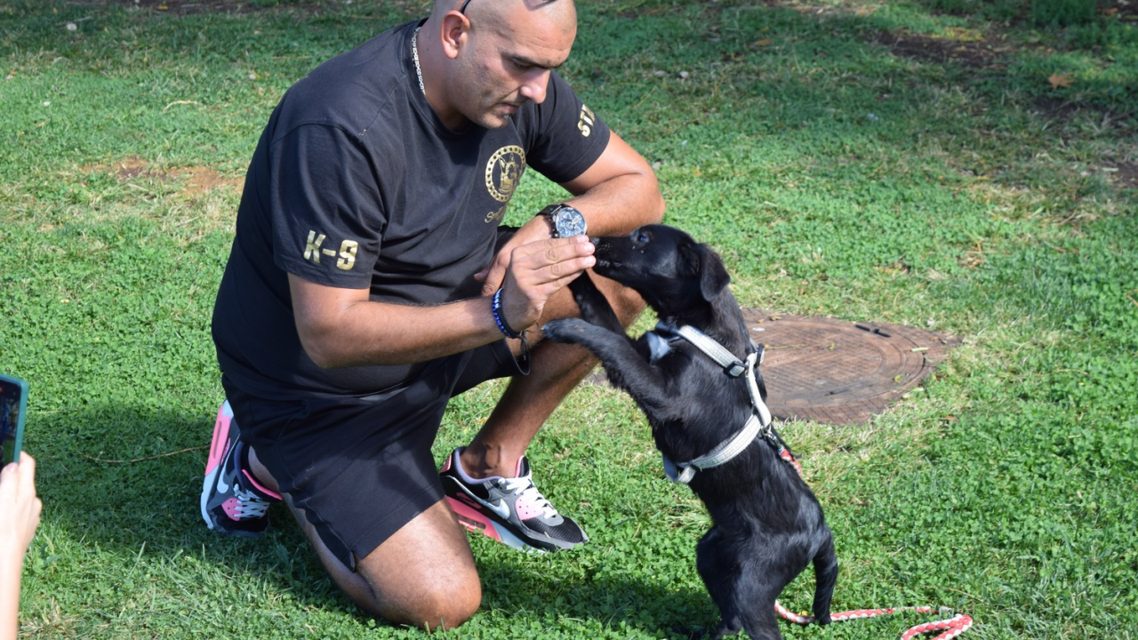Ispred Azimuta obilježen Svjetski dan životinja