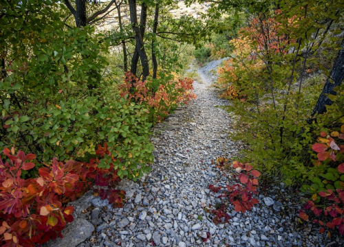 Fotografija 3 - Najšarmantniji dio godine u NP Krka provedite uz promotivnu cijenu ulaznica