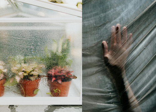 U kući vam je kao u stakleniku?