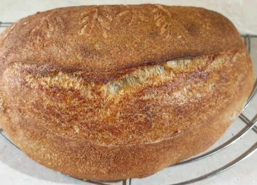 Fotografija 4 - Recept za sourdough kruh Sanje Antunac od durum pšenice