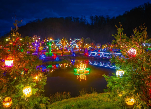 Fotografija 5 - Imanje Salaj uskoro će pet i pol milijuna lampica transformirati u magičnu božićnu priču