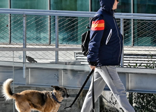Fotografija 3 - FOTO Đir po gradu, subota 23. studenog