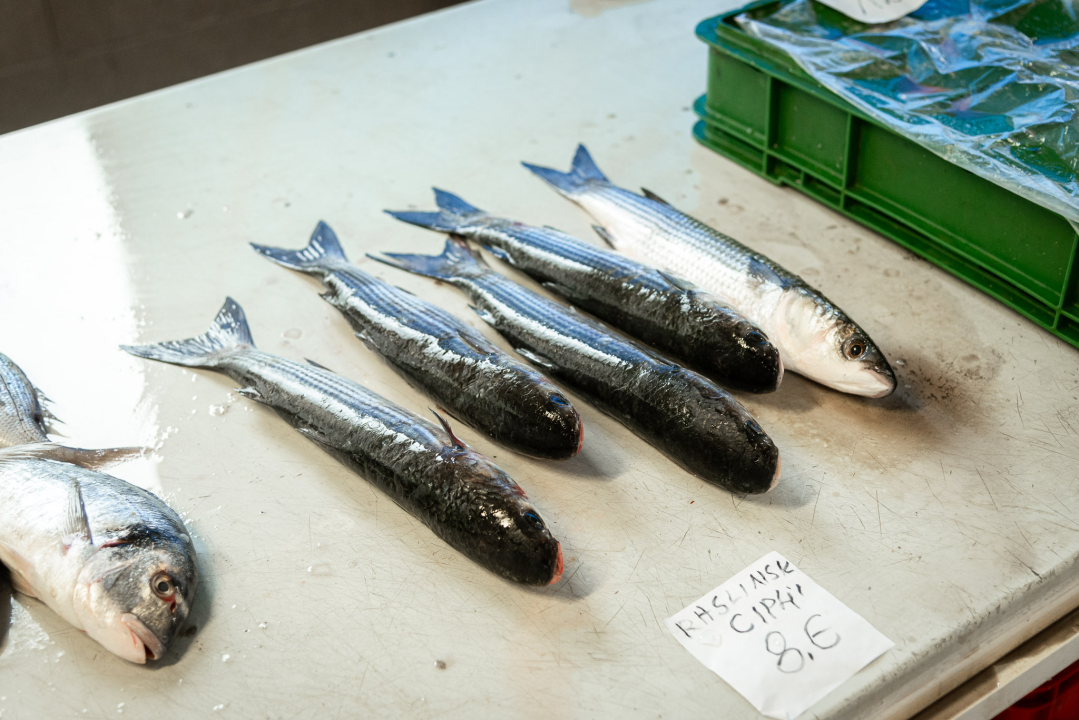 Svakodnevica šibenske peškarije: Uobičajena ponuda, uobičajeno prigovaranje