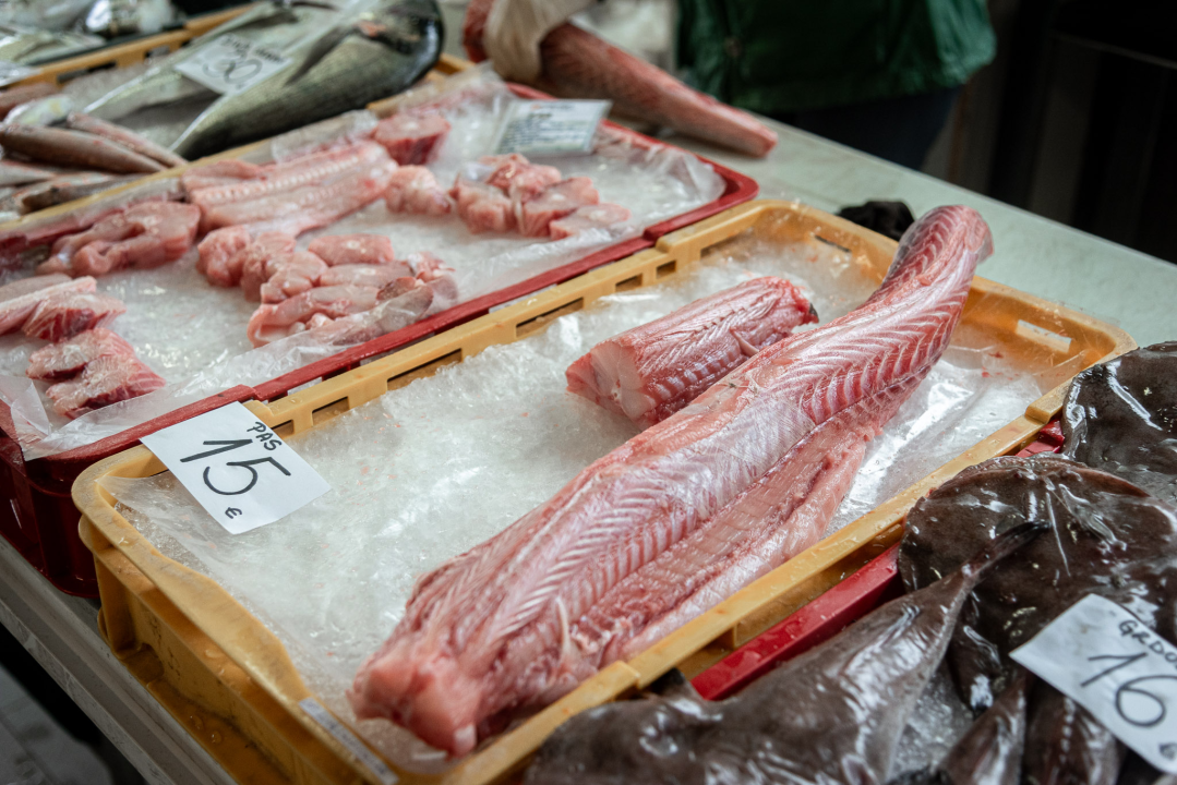 Svakodnevica šibenske peškarije: Uobičajena ponuda, uobičajeno prigovaranje