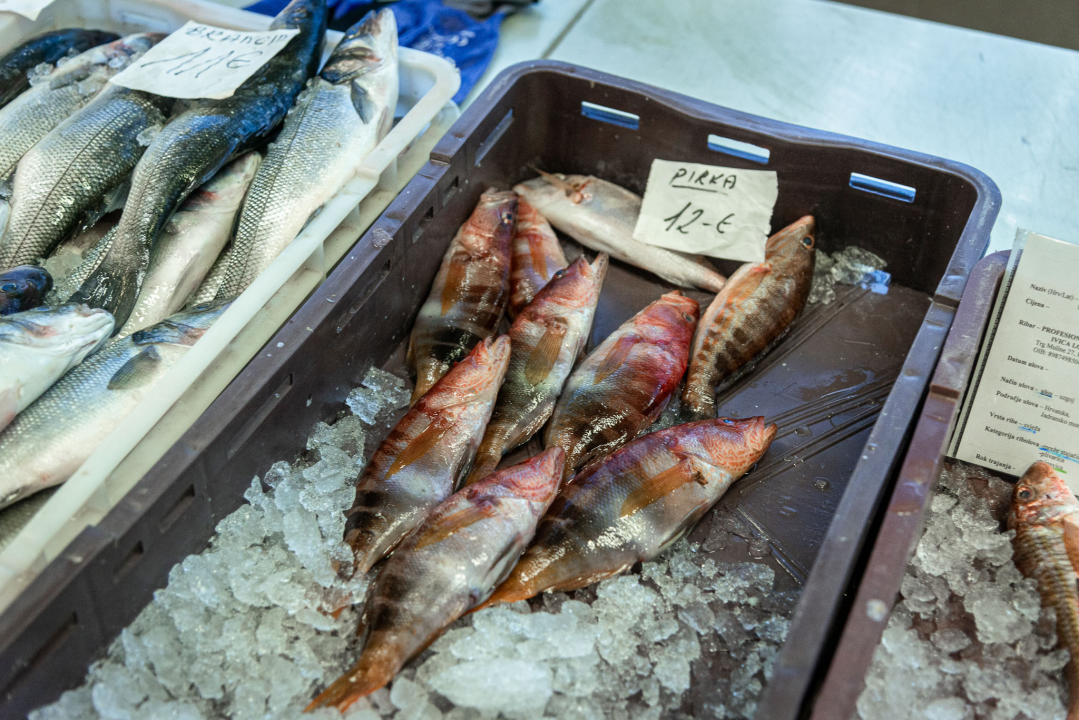 Svakodnevica šibenske peškarije: Uobičajena ponuda, uobičajeno prigovaranje