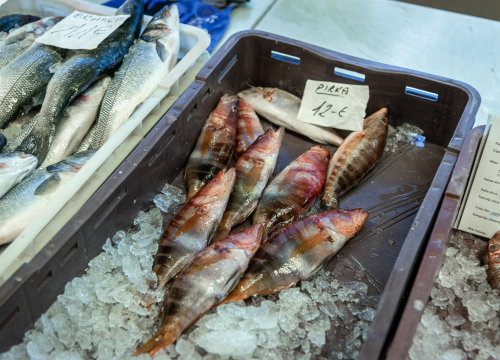 Fotografija 10 - Svakodnevica šibenske peškarije: Uobičajena ponuda, uobičajeno prigovaranje
