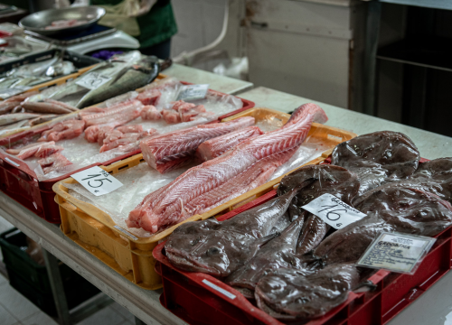 Fotografija 16 - Svakodnevica šibenske peškarije: Uobičajena ponuda, uobičajeno prigovaranje