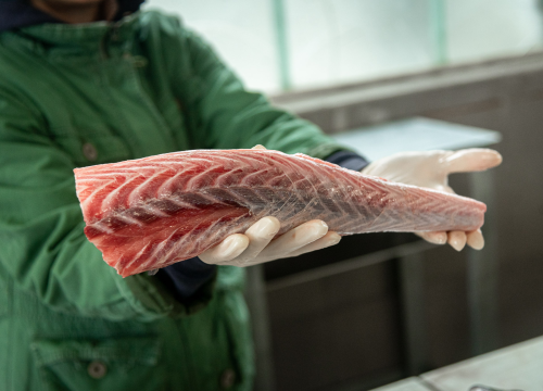 Fotografija 17 - Svakodnevica šibenske peškarije: Uobičajena ponuda, uobičajeno prigovaranje