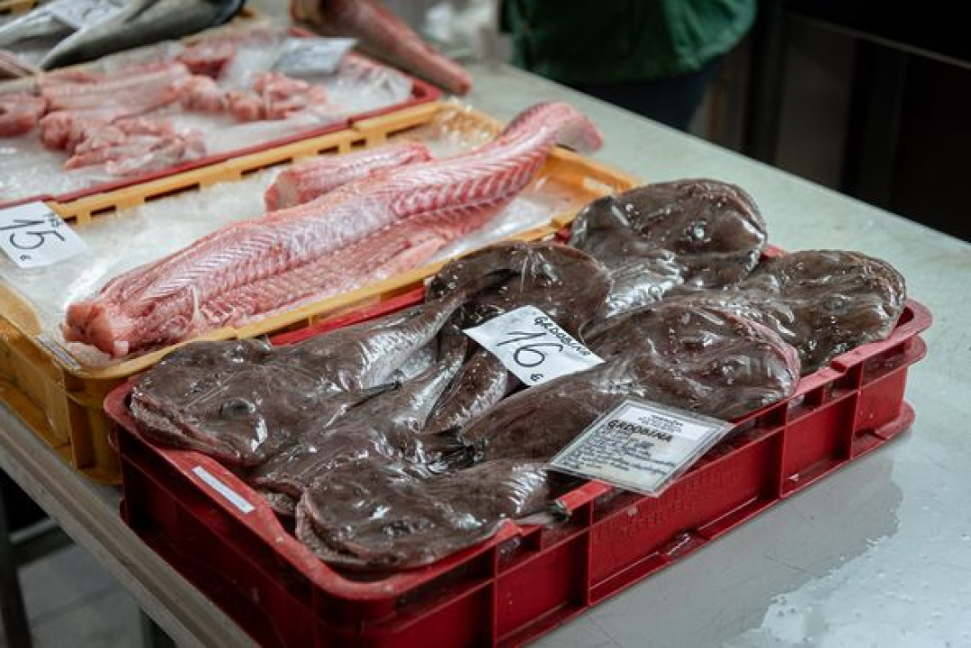 Svakodnevica šibenske peškarije: Uobičajena ponuda, uobičajeno prigovaranje