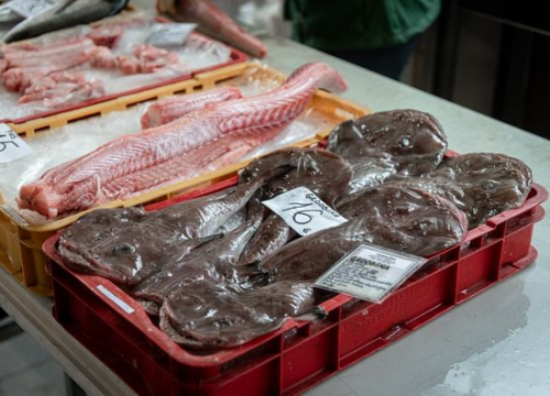 Fotografija 21 - Svakodnevica šibenske peškarije: Uobičajena ponuda, uobičajeno prigovaranje