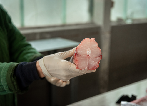 Fotografija 19 - Svakodnevica šibenske peškarije: Uobičajena ponuda, uobičajeno prigovaranje