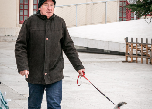 Fotografija 18 - FOTO Đir po gradu, utorak 24. prosinca