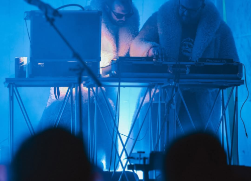 Fotografija 4 - Elemental i Djobi Djoba oduševili sinoć u parku