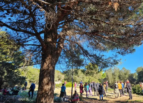 Fotografija 5 - Brojni Šibenčani jutro proveli u šetnji na poluotoku Oštrica