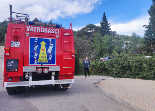 Bilički vatrogasci uklanjali stablo s prometnice