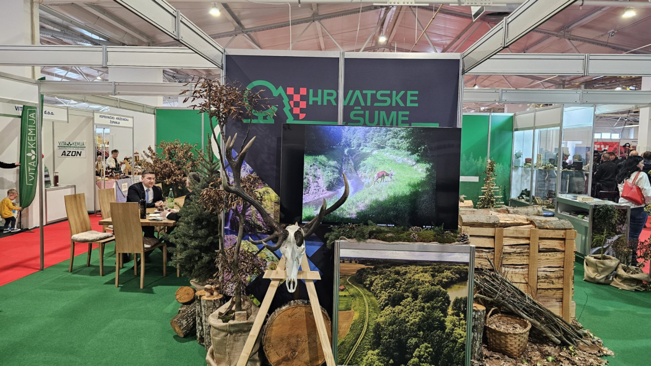 USKOK istražuje Hrvatske šume. Prijava je stigla 'iznutra'