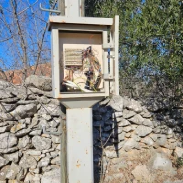 Bačići godinu dana bez interneta: ‘Kod nas će nas prije udariti grom nego doći operater’